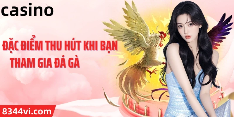 Hình ảnh quảng cáo của 66ff hiển thị nền tảng và các lợi ích